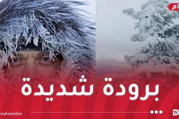 موجة
برد
قارس
يومي
الأربعاء
والخميس
بهذه
الولايات!