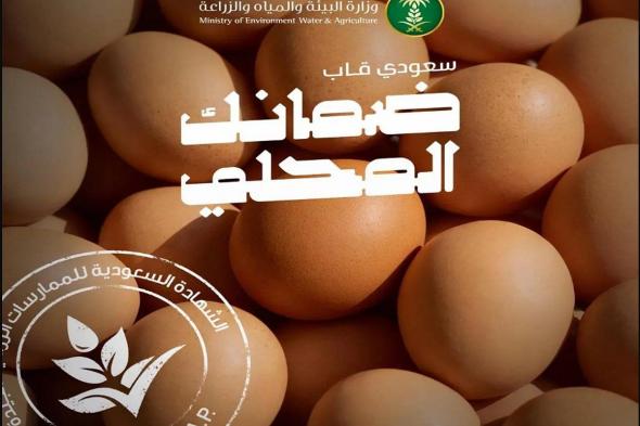 «البيئة»:
    82%
    من
    إنتاج
    المملكة
    لبيض
    المائدة
    معتمد
    بشهادة
    «سعودي
    قاب»