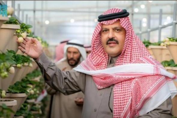 أمير
    حائل
    يدشّن
    أول
    إنتاج
    للفراولة
    البيضاء
    في
    المملكة