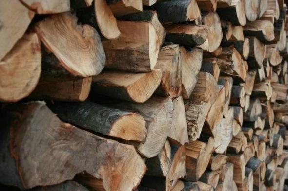 ضبط
مواطن
نقل
حطب
محلي
في
الرياض