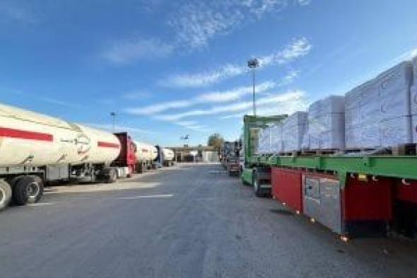 الهلال
الأحمر
المصرى
يدفع
بـ118
ألف
سلة
غذائية
و30
ألف
قطعة
ملابس
إلى
غزة