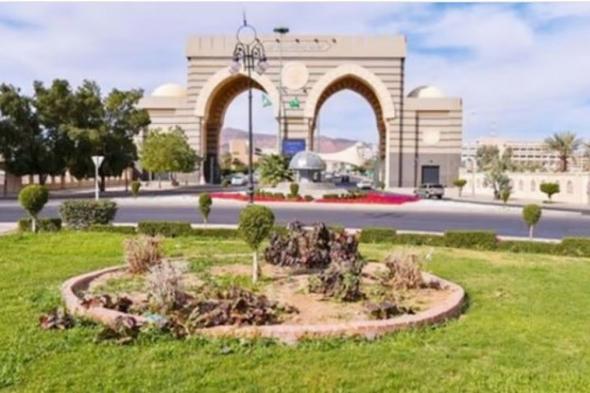 الجامعة
    الإسلامية
    بالمدينة
    المنورة
    تنظّم
    «ليالي
    الشتاء
    الثقافية»