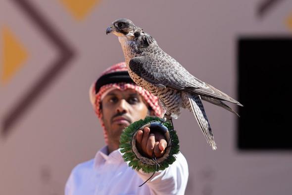 المحترفون
    المحليون
    يتنافسون
    على
    12
    كأسًا
    بمهرجان
    الملك
    عبدالعزيز
    للصقور
    2025