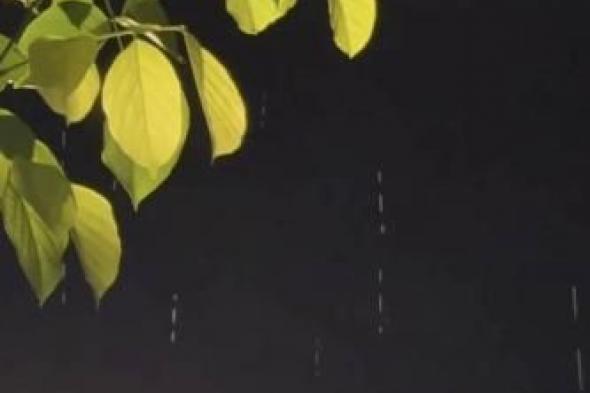 زخات
      أمطار
      متفرقة
      وتوقعات
      باستمرارها
      4
      أيام