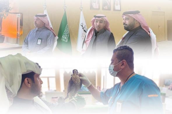 «وقاء»
    يشارك
    بفرق
    بيطرية
    في
    مهرجان
    الملك
    عبدالعزيز
    للصقور
    2025