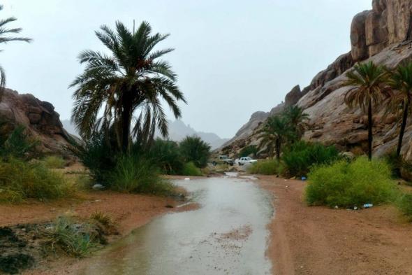 أمطار
ورياح
شديدة
السرعة
على
منطقة
حائل