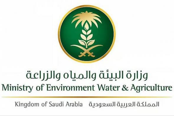 «أم
    القرى»
    تنشر
    قرار
    نقل
    مقر
    اللجنة
    الدائمة
    للوقاية
    من
    سوسة
    النخيل
    الحمراء
    ومكافحتها