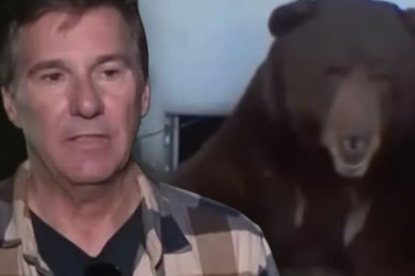 أمريكي يهدد بمقاضاة جهة حكومية لا تكترث بأن دبا ضخما يعيش تحت منزله