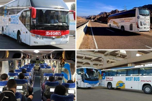 النقل
      تطلق
      خطة
      شاملة
      لتحديث
      أسطول
      الركاب
      والبضائع..
      529
      أتوبيسا
      جديدا
      ودعم
      كامل
      للصناعة
      المصرية