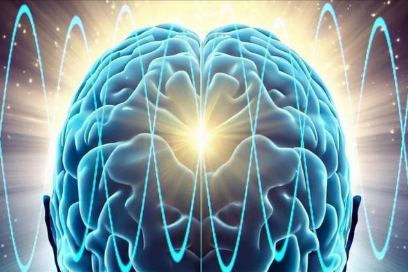 علاج
      صوتي
      يعزز
      آمال
      مكافحة
      الزهايمر