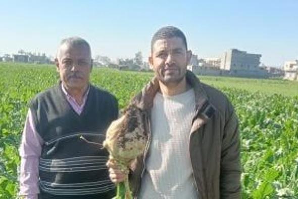 زراعة
10000
فدان
بنجر
بنطاق
مركز
منشاة
أبو
عمر
فى
الشرقية