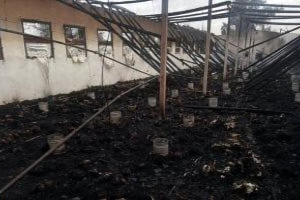 حريق
هائل
يلتهم
مزرعة
دواجن
بقرية
ميت
بدر
حلاوة
بالغربية