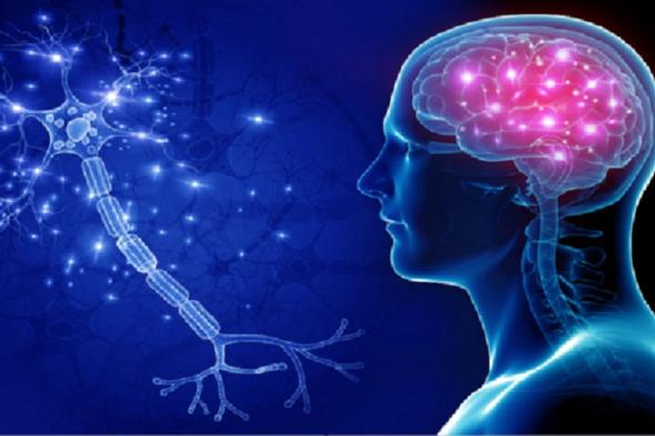 اختبار دم بسيط في منزلك قد يكشف ألزهايمر