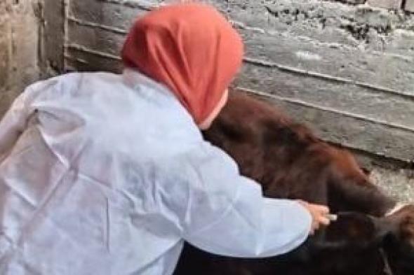 حملة
تحصين
استثائية
لمرض
الحمى
القلاعية
في
سوهاج