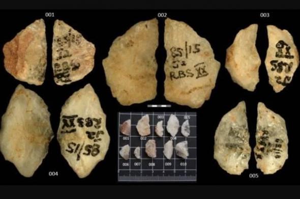 اكتشاف
      مذهل..
      رؤوس
      سهام
      سامة
      عمرها
      60
      ألف
      سنة