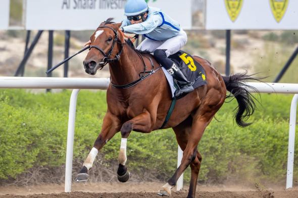 «إنديكيت» بطلاً لكأس نادي الوصل في مضمار جبل علي