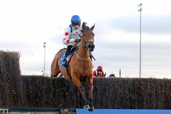 حادث
      ينهي
      حياة
      أفضل
      حصان
      عند
      أليكس
      فيرغسون