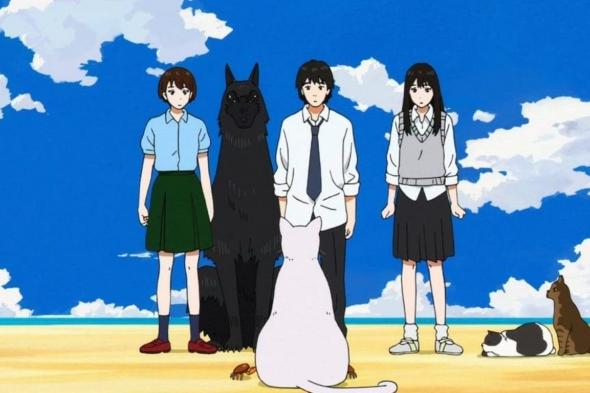 أفضل
      الأنميات
      المخفية
      والمثيرة
      في
      Crunchyroll
      يجب
      أن
      تشاهدها
      الآن
      –
      الجزء
      الثالث