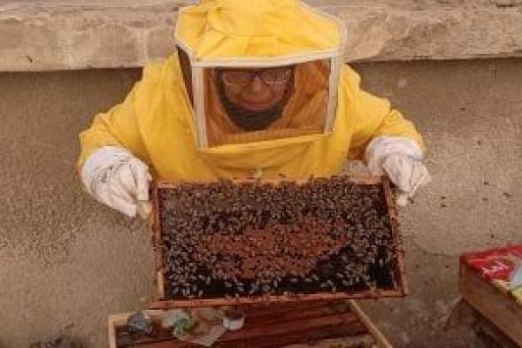 لغة
الرقص..
كيف
يتحدث
النحل
بالإشارة
لتحديد
خرائط
الغذاء؟