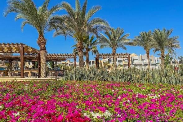 منتجعات
      مصرية
      تزرع
      غذاءها
      وتعتمد
      السياحة
      الخضراء