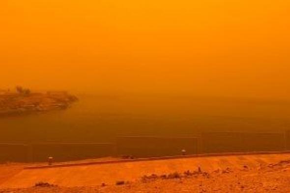 اعرف
خطوات
تحميك
من
حوادث
الطرق
بعد
ظهور
الأتربة