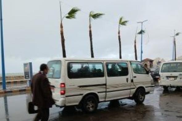 الجو
قلب
فجأة
في
الإسكندرية
أمطار
ورياح
شديدة..
فيديو