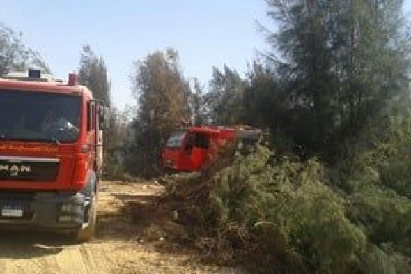 اندلاع
حريق
فى
النخيل
داخل
حرم
الإدارة
الزراعية
بالمحلة