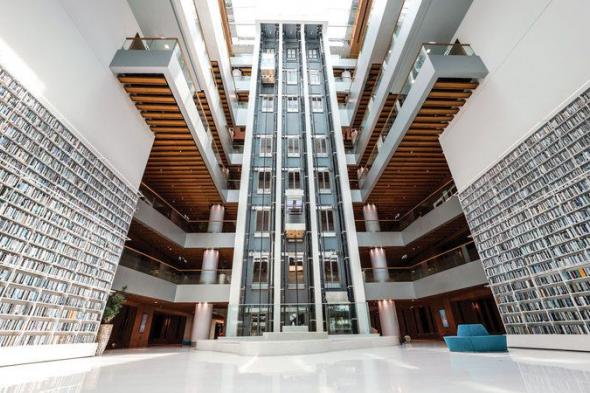 مكتبة محمد بن راشد تحتفي باليوم العالمي للزهور.. بـ «باقة» فنون