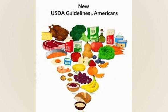 الهرم
      الغذائي
      الجديد..
      بروتينات
      وحبوب
      كاملة
      وخضراوات