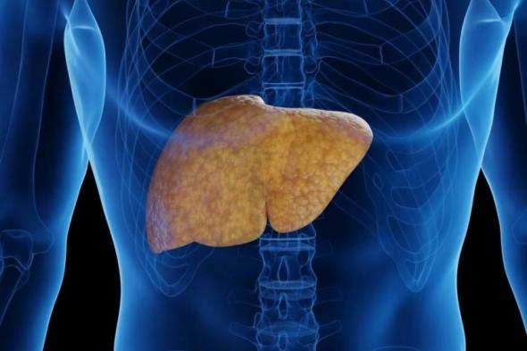 المواد
      الكيميائية
      تزيد
      خطر
      أمراض
      الكبد
      للمراهقين