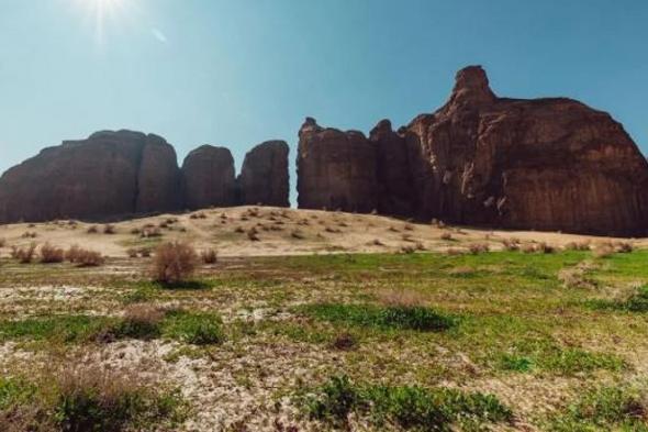 «ملكية
    العُلا»
    تحظر
    أنشطة
    القيادة
    المضرة
    بأراضي
    الغطاء
    النباتي