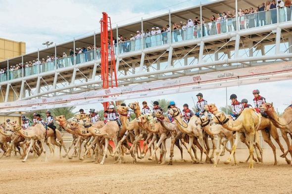 على ظهر «جمر».. محمد إبراهيم يفوز بماراثون اليوم الوطني للهجن