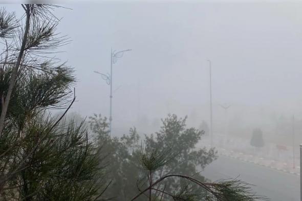 الأرصاد:
    موجة
    باردة
    على
    محافظة
    طريف
    بمنطقة
    الحدود
    الشمالية