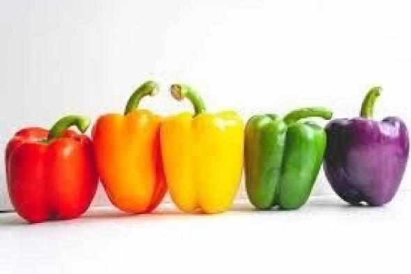 الفلفل..
      لكل
      لون
      تركيبة
      وفوائد