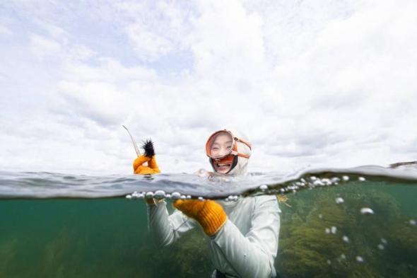 «القمة
      البيئية»
      في
      «إكسبوجر»
      تنصت
      إلى
      «معاناة
      المياه»