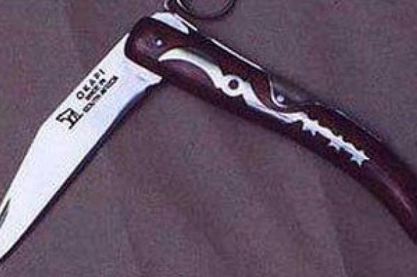 السلاح
الأبيض
خطر
متصاعد
وجهود
حاسمة
لوزارة
الداخلية