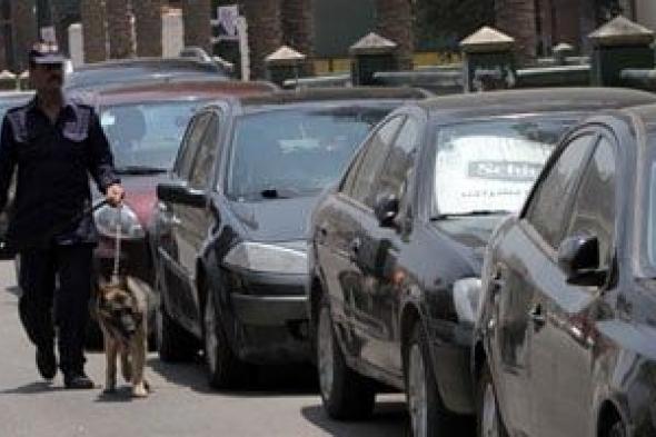 أبطال
بلا
أوسمة..
كيف
تحمي
الكلاب
البوليسية
المجتمع
من
الجريمة