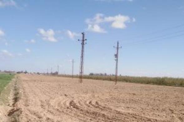 خطة
صيانة
الشبكات
الكهربائية
بحى
غرب
المنصورة
لمدة
أسبوع
والمناطق
المتأثرة