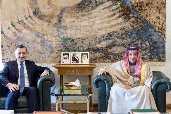 «الخريجي»
    يبحث
    مع
    السفير
    التركي
    تعزيز
    التعاون
    المشترك