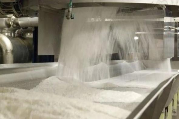 مصر تعلن تحقيق الاكتفاء الذاتي من السكر