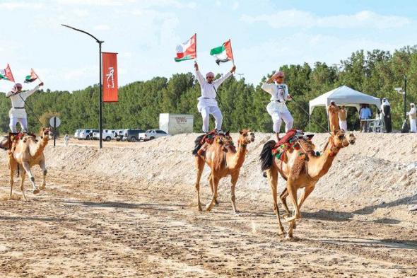 «كأس فزاع للعرضة».. منافسات بين أجواء التراث