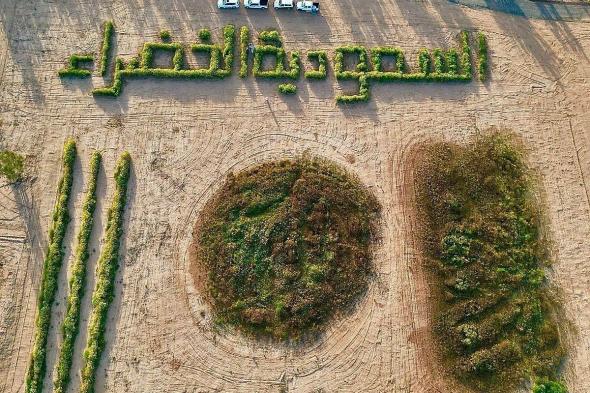 محمية
    النباتات
    البرية
    جنوب
    رفحاء..
    وجهة
    بيئية
    تزدهر
    بالطبيعة
    وتستقطب
    الزوار