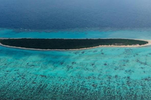 جزيرة
    مرمر..
    محمية
    طبيعية
    تزخر
    بتنوعها
    البيئي
    في
    محافظة
    الليث