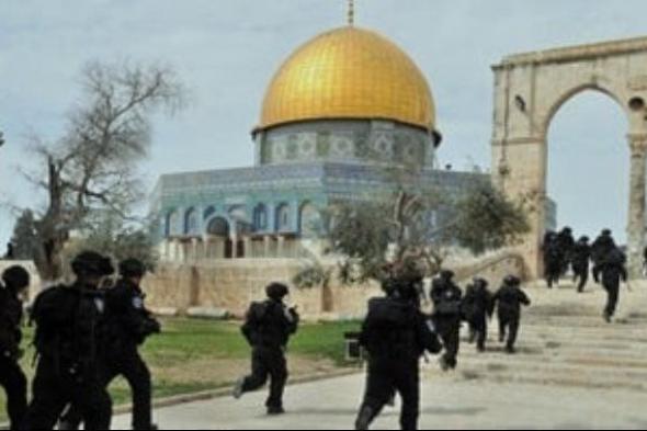 مئات المستوطنين يقتحمون باحات الأقصى.. واعتقال 24 فلسطينيا من الضفة