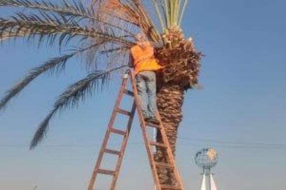 جهاز
التطوير
والتجميل
بالإسماعيلية
يواصل
أعمال
الصيانة
بمداخل
ومخارج
المحافظة