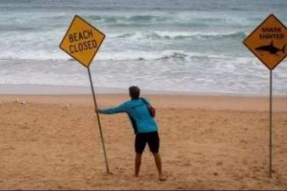 إغلاق شواطئ شمال سيدنى بعد هجوم جديد لسمكة قرش على شاب