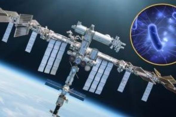 الفيروسات
والبكتيريا
خارج
الكوكب:
رحلة
تطور
غير
متوقعة