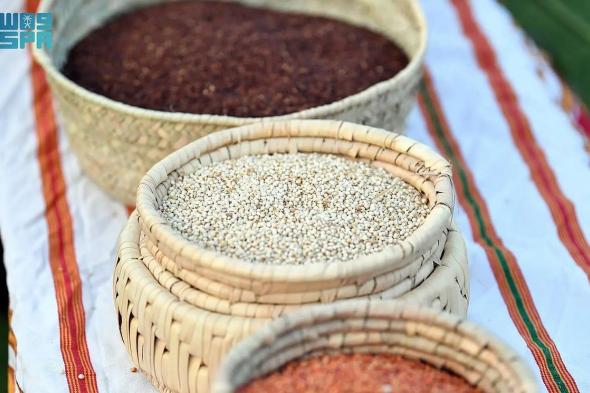 الدخن
    في
    عسير..
    محصول
    موسمي
    يعزز
    الاستدامة
    والأمن
    الغذائي