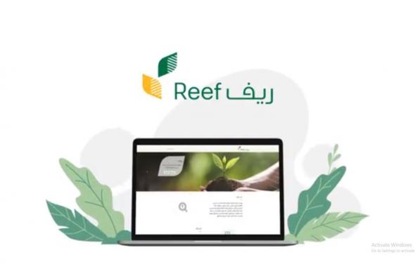 برنامج
ريف
يوضح
عدد
مرات
الاستفادة
من
الدعم