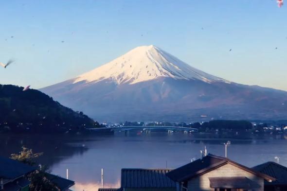 الكشف
      عن
      أولى
      عروض
      أسلوب
      اللعب
      من
      Forza
      Horizon
      6
      وتحديد
      موعد
      الإصدار